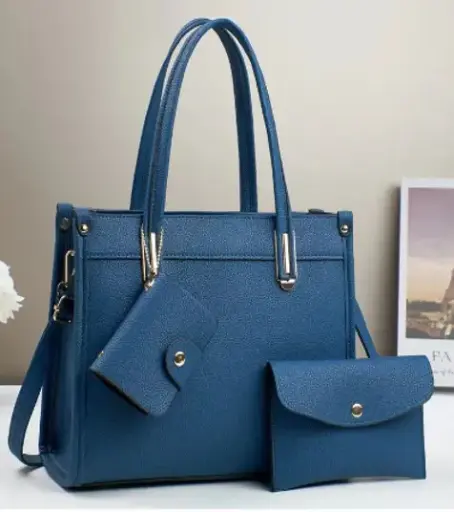 [BLS 866] CARTERA COMBO
